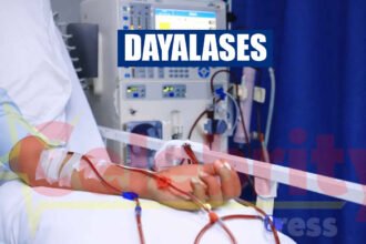 Dayalases