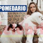 Pomedario