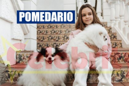 Pomedario