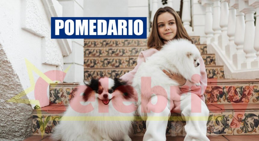 Pomedario