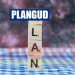 Plangud