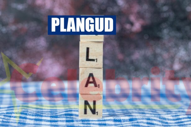 Plangud