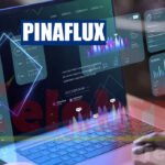 Pinaflux