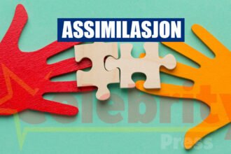 Assimilasjon