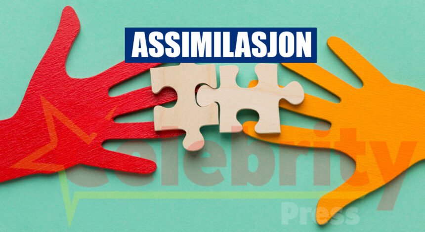 Assimilasjon