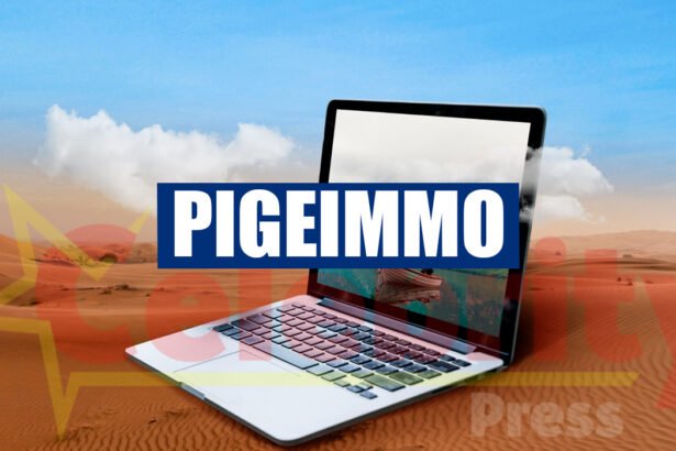 Pigeimmo