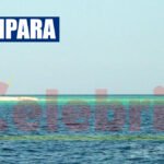 Lucipara