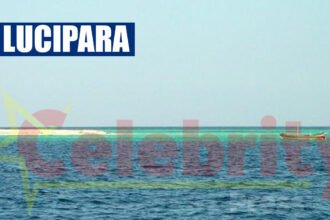 Lucipara