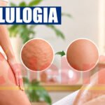 Cellulogia