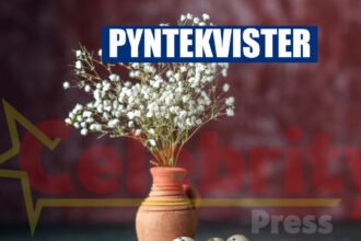 Pyntekvister