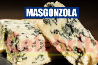 Masgonzola